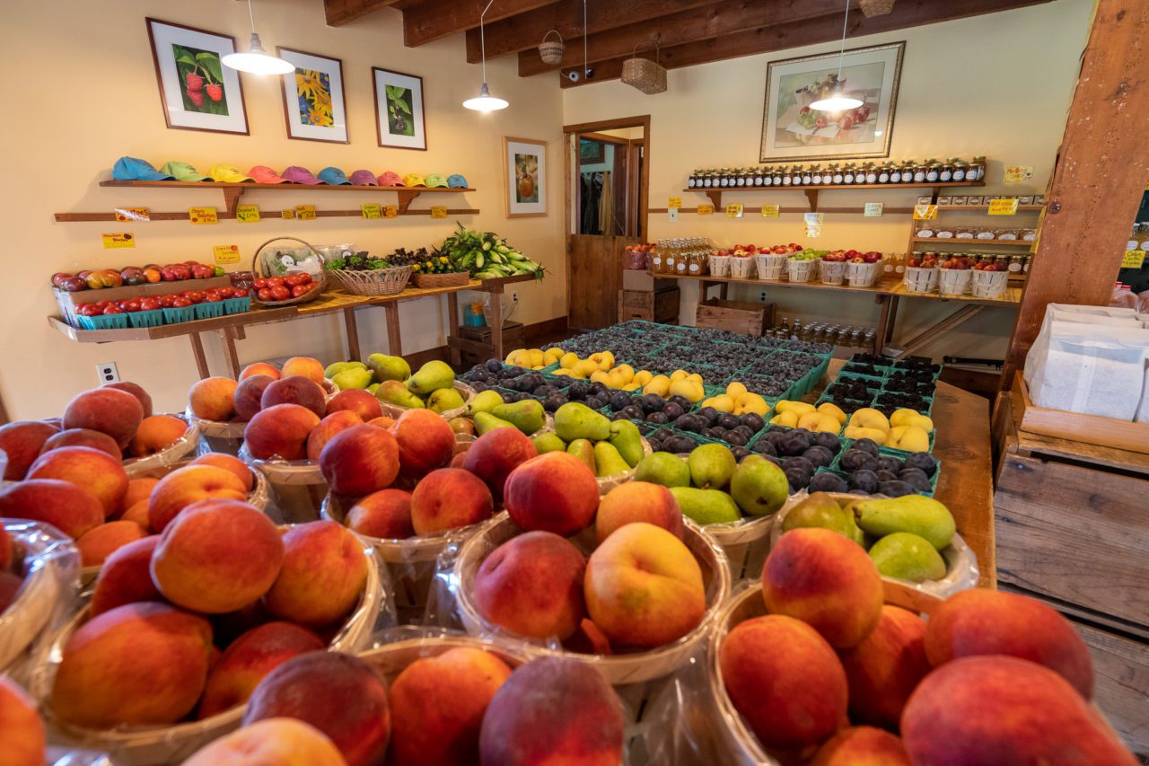 Solebury Orchards a farm in Bucks County, PA, Apple and Berry Picking