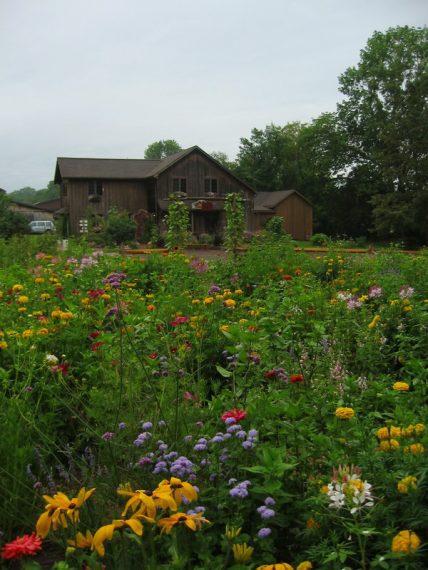 Market garden