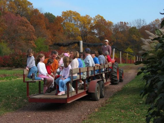 PYO Wagon load of pickers