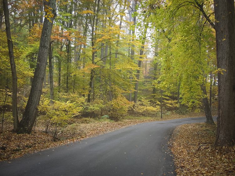 Solebury Orchards driveway